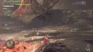 適当に何か狩る