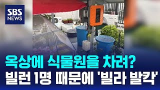 옥상에 식물원을 차려?…빌런 1명 때문에 '빌라 발칵' / SBS / 오클릭