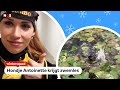 Thomas bewijst: trainen kan ook leuk zijn! Hiken en Big Air met Niek | Wintersquad #1 | NOS sport