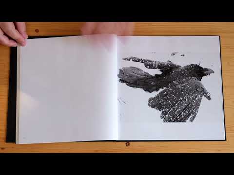 Masahisa Fukase: Ravens (MACK, 2017)