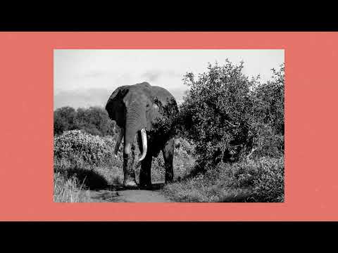13 block x Booba Trap TYPE BEAT - Eléphant