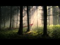 Trailer DVD Version