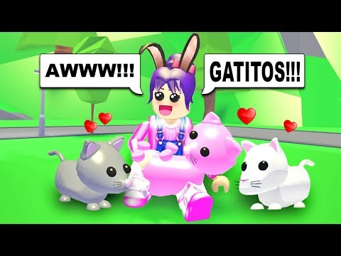 Refugio Para Mascotas Y Mi Gatito Rosa Adopt Me Roblox - roblox locura en el ascensor c kepu by pinkfate games