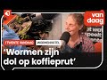 Enschedese stadsboerin deelt wormenhotels uit