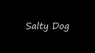Salty Dog - Yellow Moon (Live Cover) July 13th, 2017
