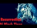 Dj Black Tiger Resurrection 
