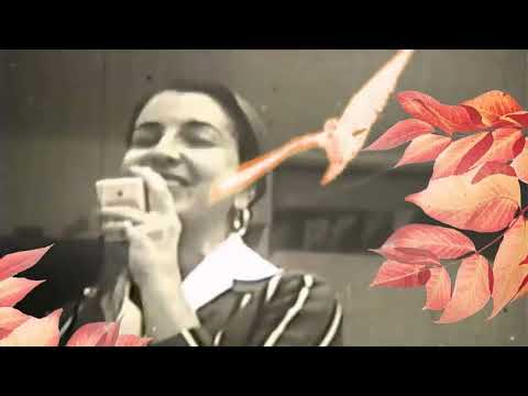 Asa Branca - Ovnew Tribute (Progressive Trance)