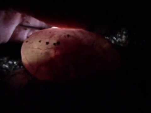 YouTube Video _rdW5lHLaPc