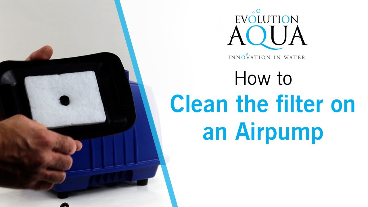 How to clean the filter on an Airpump