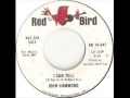 John Hammond  -  I Can Tell
