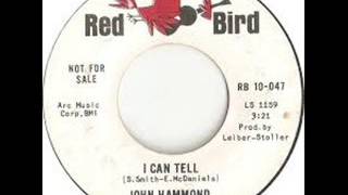 John Hammond  -  I Can Tell