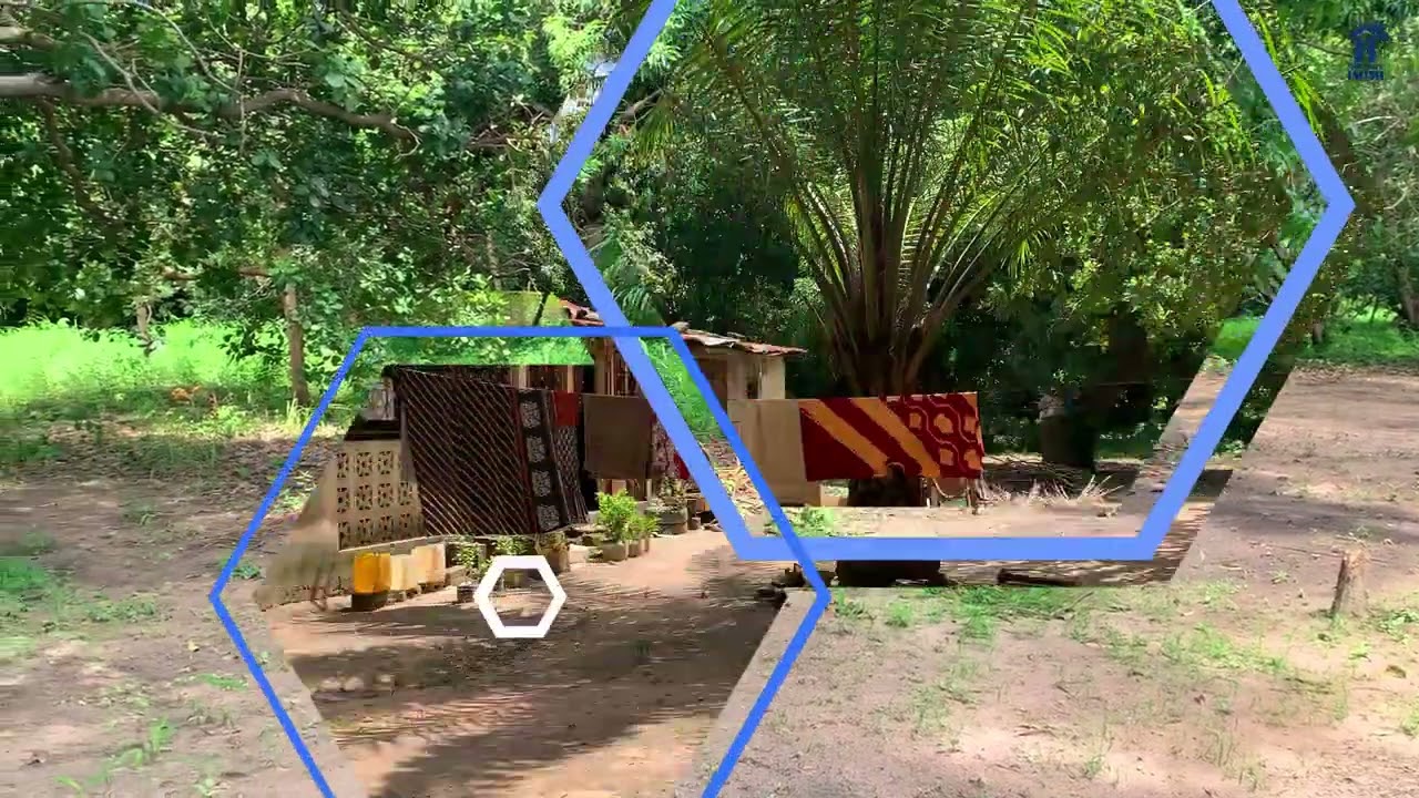 Aperçu vidéo — terrain avec maison à Djibock