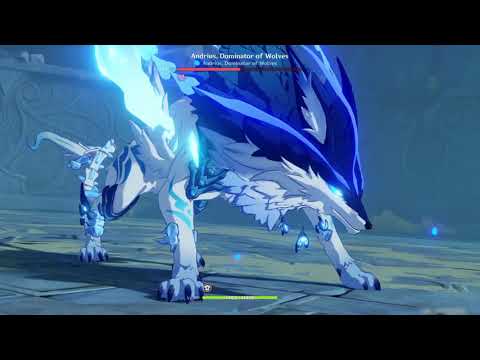 Andrius, Dominator of Wolves Lv. 84 Fight - World Level 6 - AR45 - Genshin Impact
