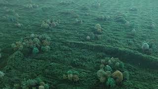 ‎@NEOMChannel  (2)