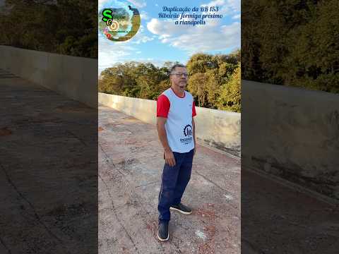 Ribeiro formiga próximo a Rianápolis Goiás