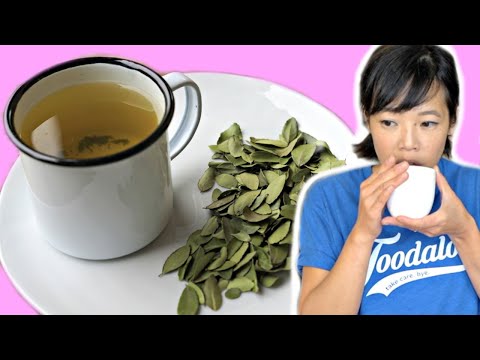 Civil War Coffee Alternative - Yaupon Tea - N. America's only native CAFFEINATED plant | HARD TIMES Video