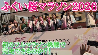 ふくい桜マラソン2026に初挑戦！気温も応援も激アツで完走めざす！