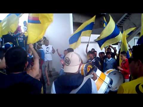 "Ritual del Kaoz América vs Pachuca 03/11/12 HD" Barra: Ritual Del Kaoz &bull; Club: América