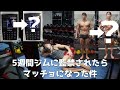 ジム監禁生活5週間で体はどう変わった?トレ歴長くてもクリーンバルクできた理由やその方法、初心者やナチュラルの筋トレの考え方について解説します!