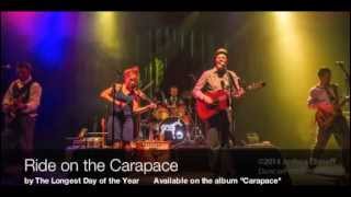 Ride on the Carapace