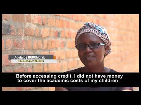 Microfinance, Agri-finance and Value Chain (MAVC)