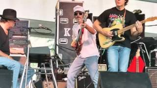 R.I.P. Levon Helm/Golden Bird