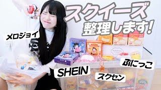 水感スクイーズが増えすぎたので整理します！！