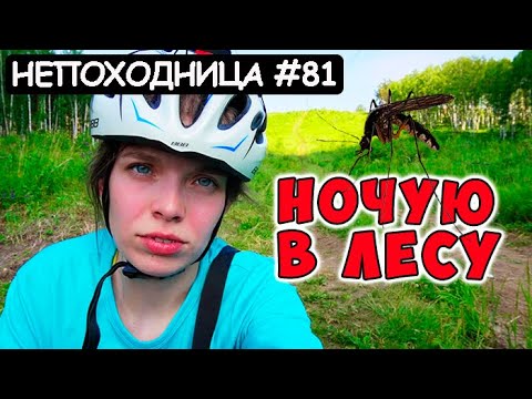 ОДИНОЧНЫЙ ВЕЛОПОХОД С НОЧЁВКОЙ. ТЕСТ НОВОЙ СНАРЯГИ. НЕПОХОДНИЦА