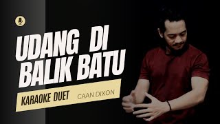 Download lagu UDANG DI BALIK BATU karaoke duet artis cowok/pria mp3