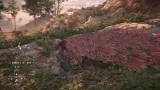【実況】Horizon 2 Forbidden West まったりプレイ part33