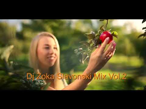 Dj Zoka Slavonski Mix Vol 2