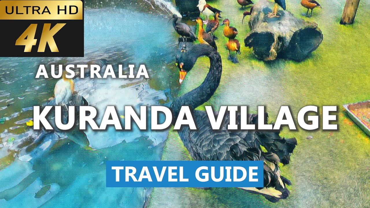 Experience a virtual tour of Kuranda Village.