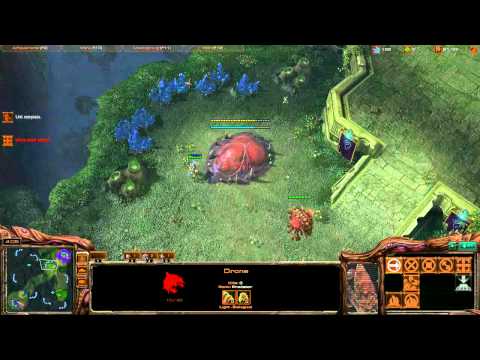 Destiny (Z) vs. AoNe (R) [Game 7] - Starcraft 2 Ladder