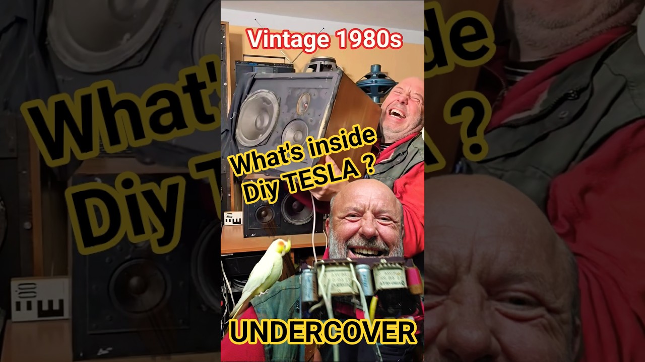 80s Vintage Unique DIY TESLA BOOKSHELF SPEAKERS SPEAKER Deconstruction