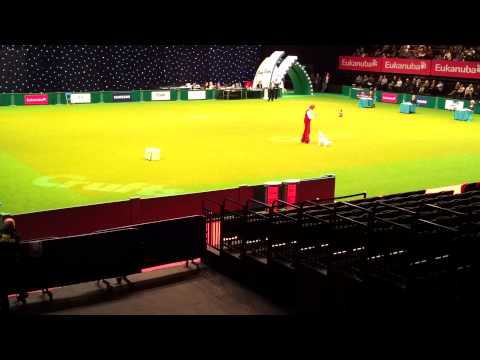 Lucy Creek and Teasel