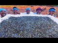 10 MILLION TINY FISHES Ayira Meen Rare River Fish Cleaning And Cooking In Village Fish Recipes