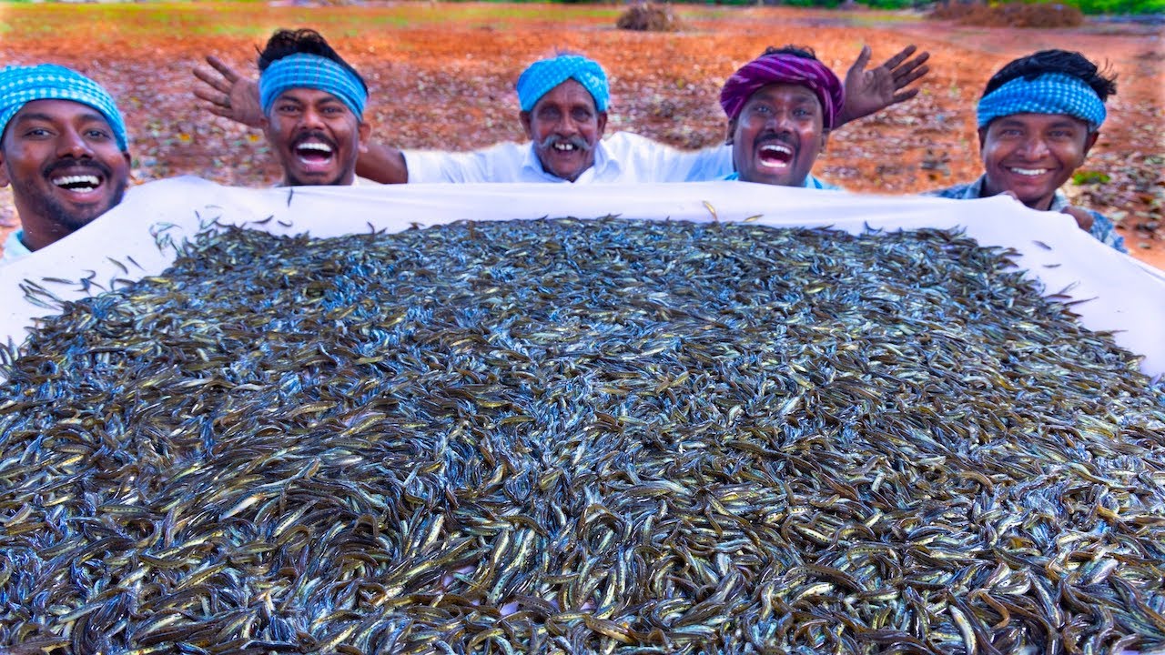 10 MILLION TINY FISHES | Ayira Meen | Rare River Fish Cleaning and Cooking In Village | Fish Recipes