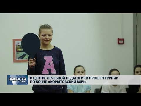 14.03.2019 / В Центре лечебной педагогики прошел турнир по бочче «Корытовский мяч»