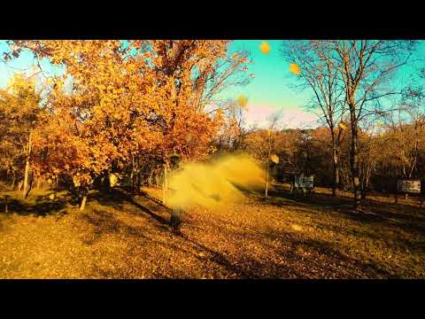 Parco della Tozzona Imola