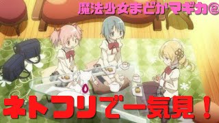 【魔法少女まどかマギカ②】初級編:正しい鑑賞法は萌えアニメ的に考えずに一気に見る