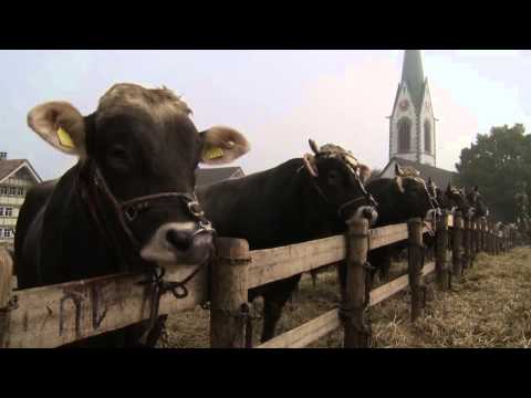 download lagu mp3 mp4 Firmenausflug Schweiz, download lagu Firmenausflug Schweiz gratis, unduh video klip Firmenausflug Schweiz