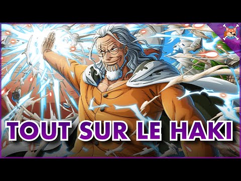 ALL ABOUT HAKI! (The 3 ultimate powers 🔥) - One Piece Explanation