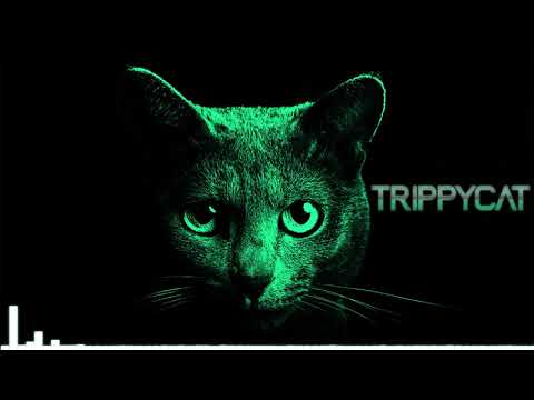 Serious Summer Dark Minimal Techno Mix 2020 [TRIPPYCAT]