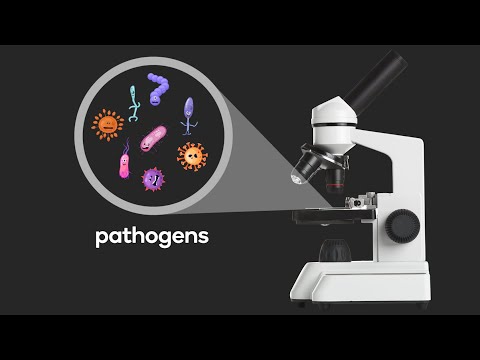 What are pathogens?