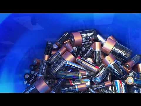 Sycamore student aims to save environment through battery recycling initiative