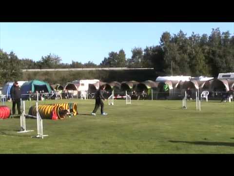 Üsy Jumping Gescher 29.09.2013