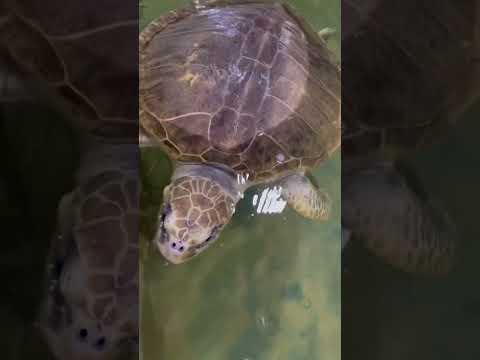 Sri lanka holiday 2023 Nadisha & family.