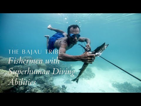 Bajau Tribe: Fishermen with Superhuman Diving Abilities