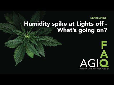 FAQ with AGIQ - Humidity Spike at Lights Off (Episode 2)