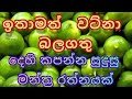 දෙහි කපන්න බලගතු මන්ත්‍රයක් Kuliyapitiya 0763645364